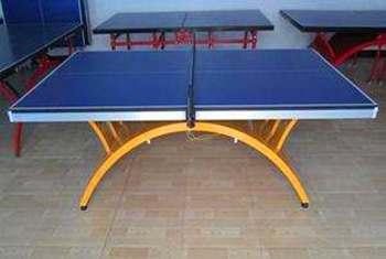 金彩虹乒乓球臺(tái)